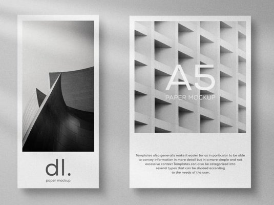 高级黑白灰杂志商业期刊封面样机