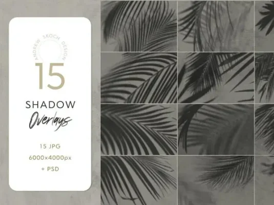 树叶叶子阴影投影背景底纹纹理