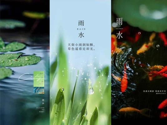 吊旗二十四节气雨水海报PSD模版