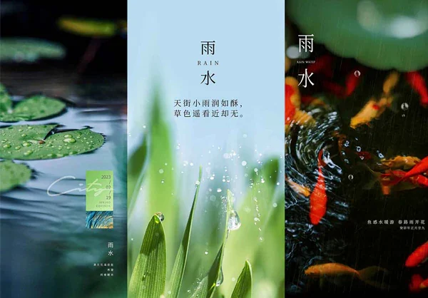 吊旗二十四节气雨水海报PSD模版