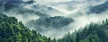 背景纹理