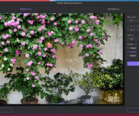 AI去水印工具 HitPaw Watermark Remover 2.4.5 破解中文版