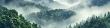 背景 | 纹理 | 图片