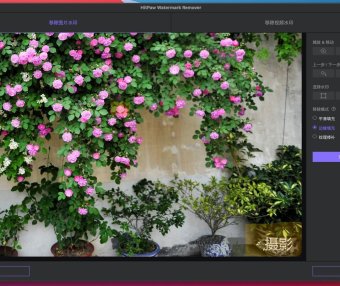 AI去水印工具 HitPaw Watermark Remover 2.4.5 破解中文版