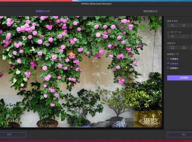 AI去水印工具 HitPaw Watermark Remover 2.4.5 破解中文版
