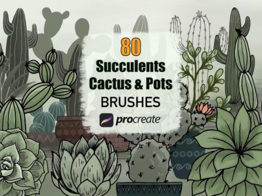 仙人掌多肉植物和花盆Procreate笔刷