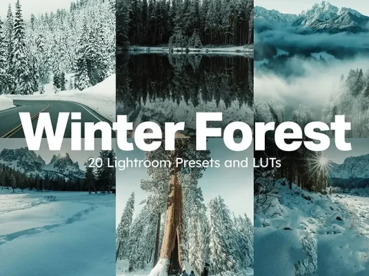 冬季雪景户外摄影后期调色Lightroom预设