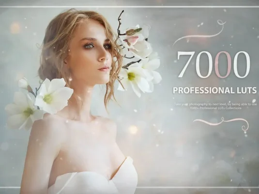 7000+梦幻童话时尚婚礼情感食物发光森林爱情LUTS调色预设