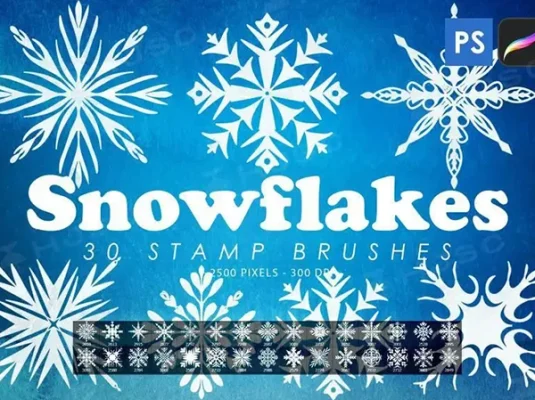 冬季主题雪花图案装饰花纹PS笔刷