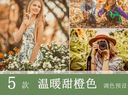 LR预设PS温暖风光旅拍婚礼FCPX达芬奇手机版APP滤镜PR调色LUT