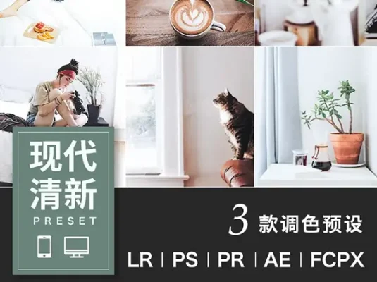 现代清新调色LR预设摄影后期户外调色PS/PR/AE/LUT/FCPX人像滤镜