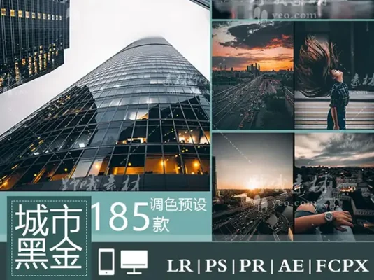 LUT预设LR工业风城市黑金街拍夜景人像PR/FCPX达芬奇AE调色PS滤镜