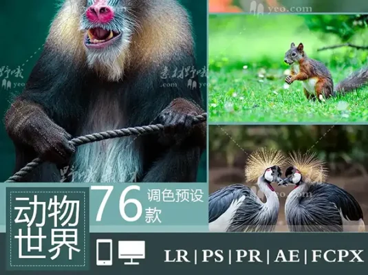 LR/PS预设室外自然风景动物宠物写真摄影后期PR/AE/FCPX调色滤镜