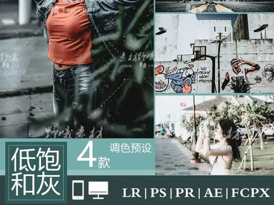LR预设PS城市冷淡灰人像旅拍街拍FCPX达芬奇手机APP滤镜PR调色LUT