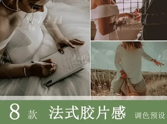 LR预设PS法式胶片人像莫兰迪FCPX达芬奇手机版APP滤镜PR调色LUT