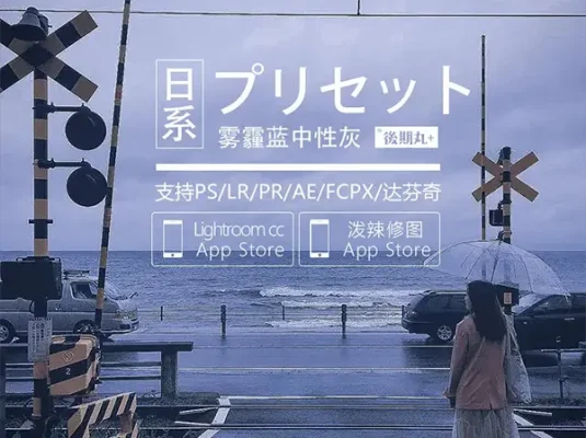 LR预设 网红日系原创雾霾蓝暗调写真PR视频lut调色手机预设PS滤镜