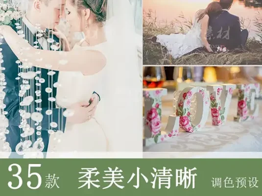 LR预设韩式日系小清新唯美婚礼PS/PR/FCPX/达芬奇/AE/LUT调色滤镜