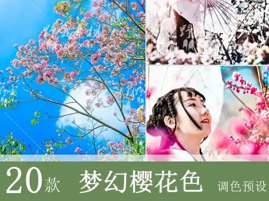 LR预设PS日系梦幻粉色樱花人像调色PR/FCP达芬奇AE手机APP滤镜LUT