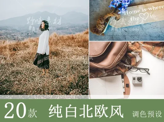 lightroom预设LR手机版北欧白色旅拍静物FCPX滤镜PS/PR调色LUT