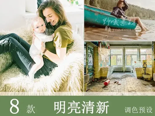 LR预设PS明亮清新ins室内lightroom通透FCPX手机APP滤镜PR调色LUT