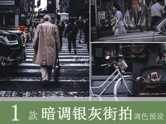 LR预设PS冷色街拍银灰色纪实FCPX达芬奇手机APP滤镜PR调色LUT