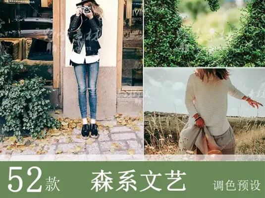 LR预设PS森系清新文艺人像胶片PR/达芬奇/AE/LUT电影FCPX调色滤镜