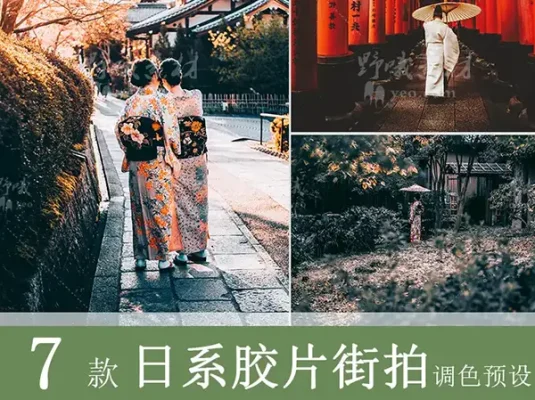 LR预设PS日系纪实胶片港风人像FCPX达芬奇手机版APP滤镜PR调色LUT