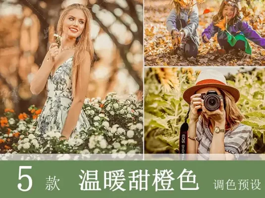 LR预设PS温暖风光旅拍婚礼FCPX达芬奇手机版APP滤镜PR调色LUT