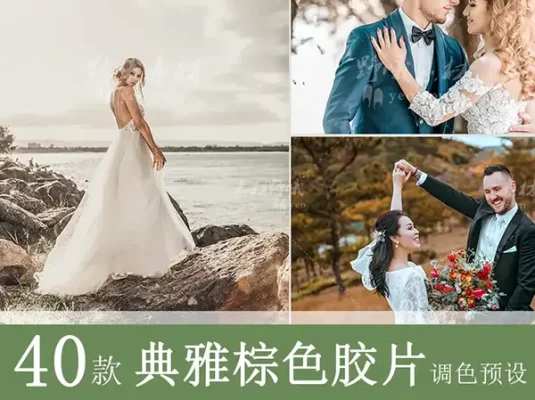 LR预设棕色婚礼胶片跟拍人像复古PS调色PR/FCPX/AE手机LUT滤镜