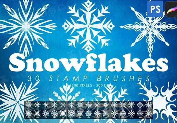 冬季主题雪花图案装饰花纹PS笔刷