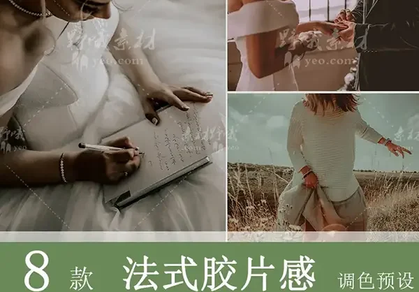 LR预设PS法式胶片人像莫兰迪FCPX达芬奇手机版APP滤镜PR调色LUT