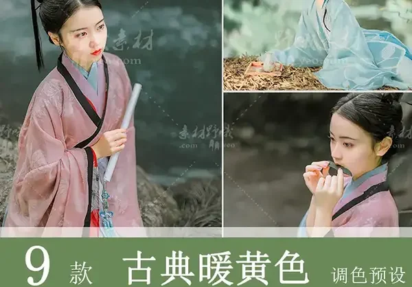 LR预设PS古典古风汉服古装人像FCPX达芬奇手机版APP滤镜PR调色LUT