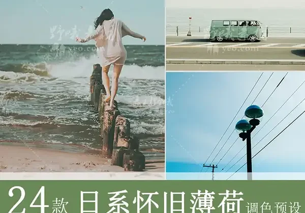LR预设PS日系复古海边文艺胶片PS调色PR/FCPX/达芬奇手机LUT滤镜