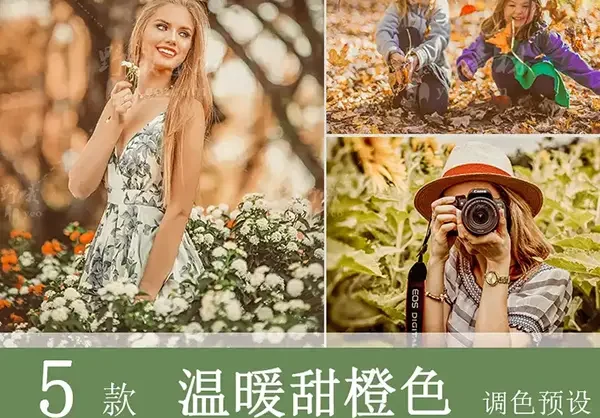 LR预设PS温暖风光旅拍婚礼FCPX达芬奇手机版APP滤镜PR调色LUT