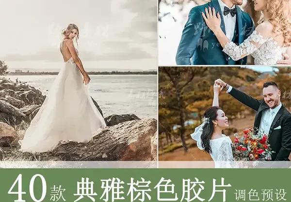 LR预设棕色婚礼胶片跟拍人像复古PS调色PR/FCPX/AE手机LUT滤镜