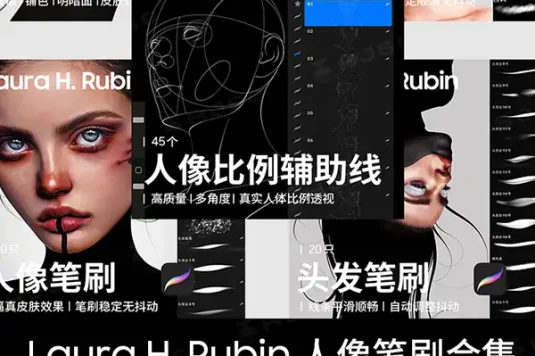 Laura H. Rubin全套人像皮肤头发色卡绘画procreate笔刷