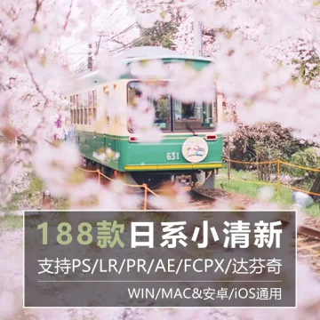 LR预设日系写真小清新人像风PS滤镜PR视频调色LUT手机预设