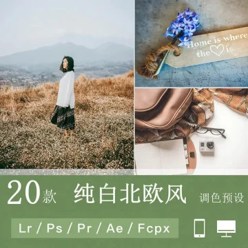 lightroom预设LR手机版北欧白色旅拍静物FCPX滤镜PS/PR调色LUT
