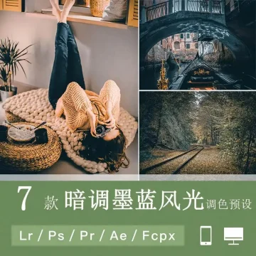 LR预设城市ins情绪风光旅拍PS达芬奇FCPX手机版APP滤镜PR调色LUT