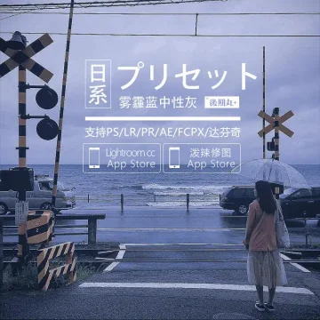 LR预设 网红日系原创雾霾蓝暗调写真PR视频lut调色手机预设PS滤镜