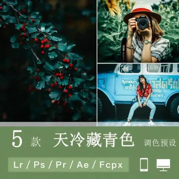 lightroom清冷抑郁藏青蓝色冬天色调滤镜后期手机lr预设ps调色
