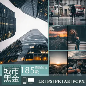 LUT预设LR工业风城市黑金街拍夜景人像PR/FCPX达芬奇AE调色PS滤镜