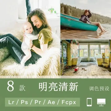 LR预设PS明亮清新ins室内lightroom通透FCPX手机APP滤镜PR调色LUT
