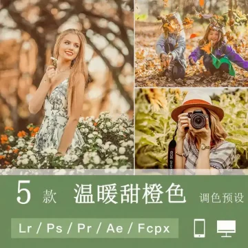 LR预设PS温暖风光旅拍婚礼FCPX达芬奇手机版APP滤镜PR调色LUT