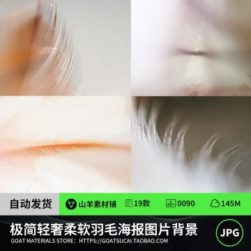 极简轻奢优雅精致梦幻柔软羽毛网页海报装饰图片背景PS设计素材