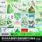 端午青绿山水龙舟粽子节日海报PSD素材